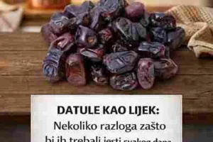 Važna napomena Iako su datule izuzetno zdrave, osobe s dijabetesom ili problemima s regulacijom šećera trebaju pratiti količinu. U kombinaciji sa uravnoteženom ishranom, datule mogu biti moćan saveznik zdravlja i energije.